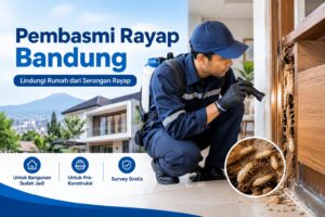 Kenali Tanda Rayap di Rumah Sebelum Kerusakan Makin Meluas
